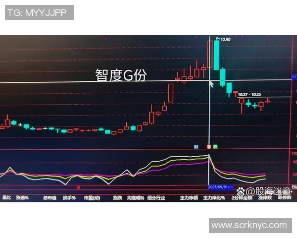 广州足球队与成都足球队赛后技术分析与战术复盘探讨