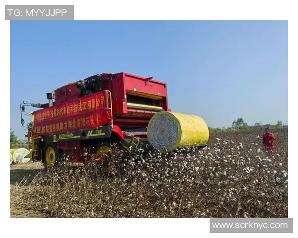 棉农独立分析：探讨棉花产业链中的挑战与机遇