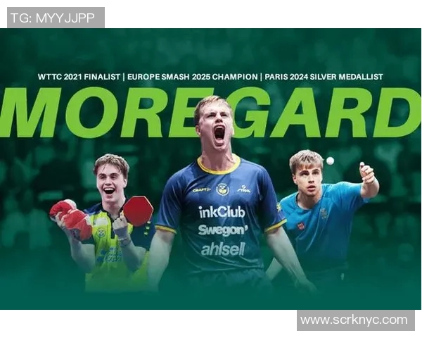 瑞典与法国足球比赛在线直播全程回顾与精彩瞬间分享