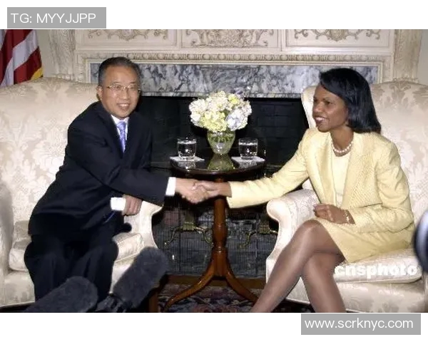 赖斯的外交策略与全球影响力分析及其对未来国际关系的启示