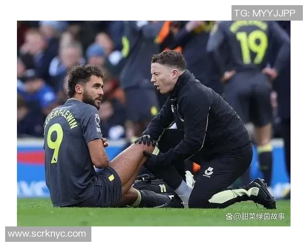 莱斯特城与埃弗顿对决前瞻分析双方状态与战术布置探讨