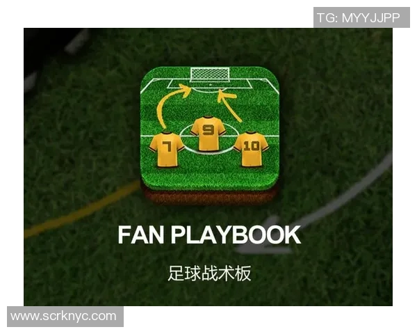 南京足球队的节奏解析与战术深度剖析探秘之旅